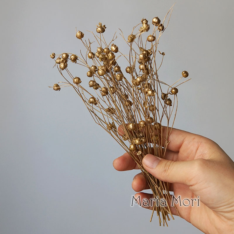 5g Preserved Flax Bean Natural - Candle Making Supplies 리뷰 및 가격