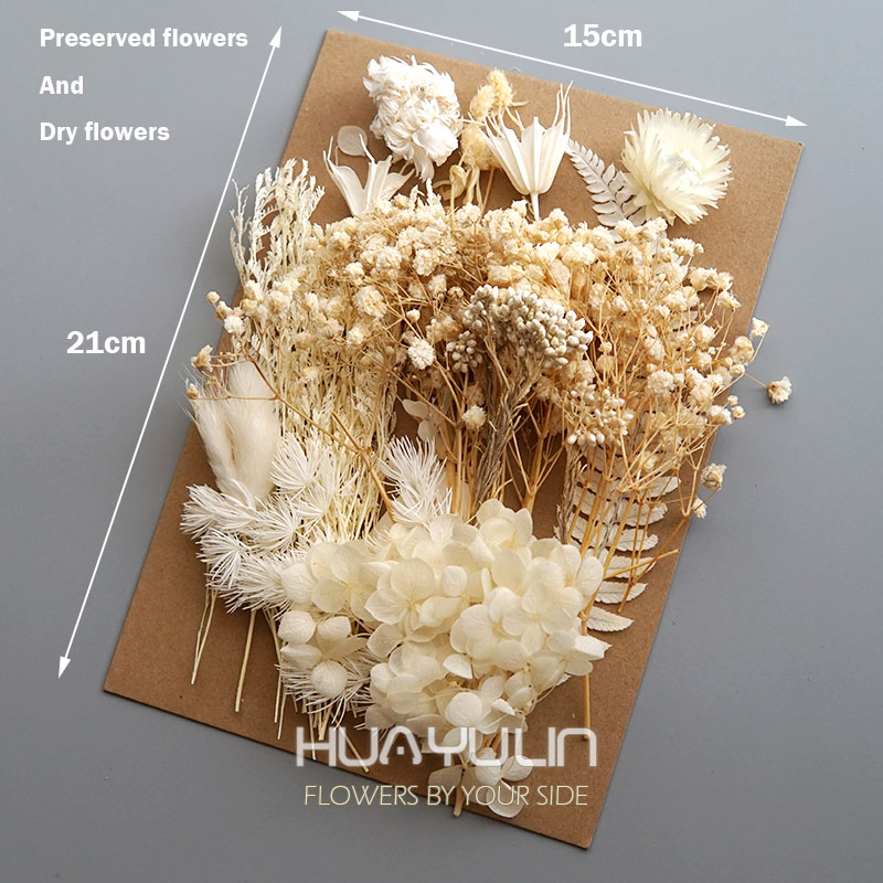 1 Pack Artificial Plants Dried - Candle Making Supplies 리뷰 및 가격
